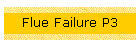 Flue Failure P3